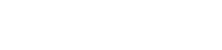 MAXI GROUP